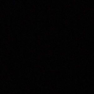 Meet your Posher, Jackson